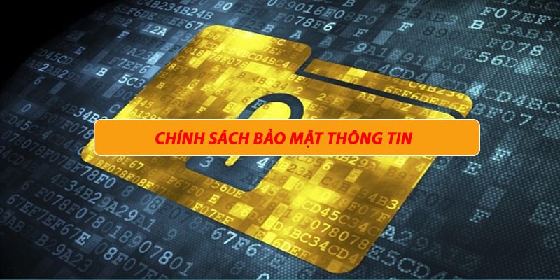 dieu-khoan-su-dung-chinh-sach-bao-mat-df999